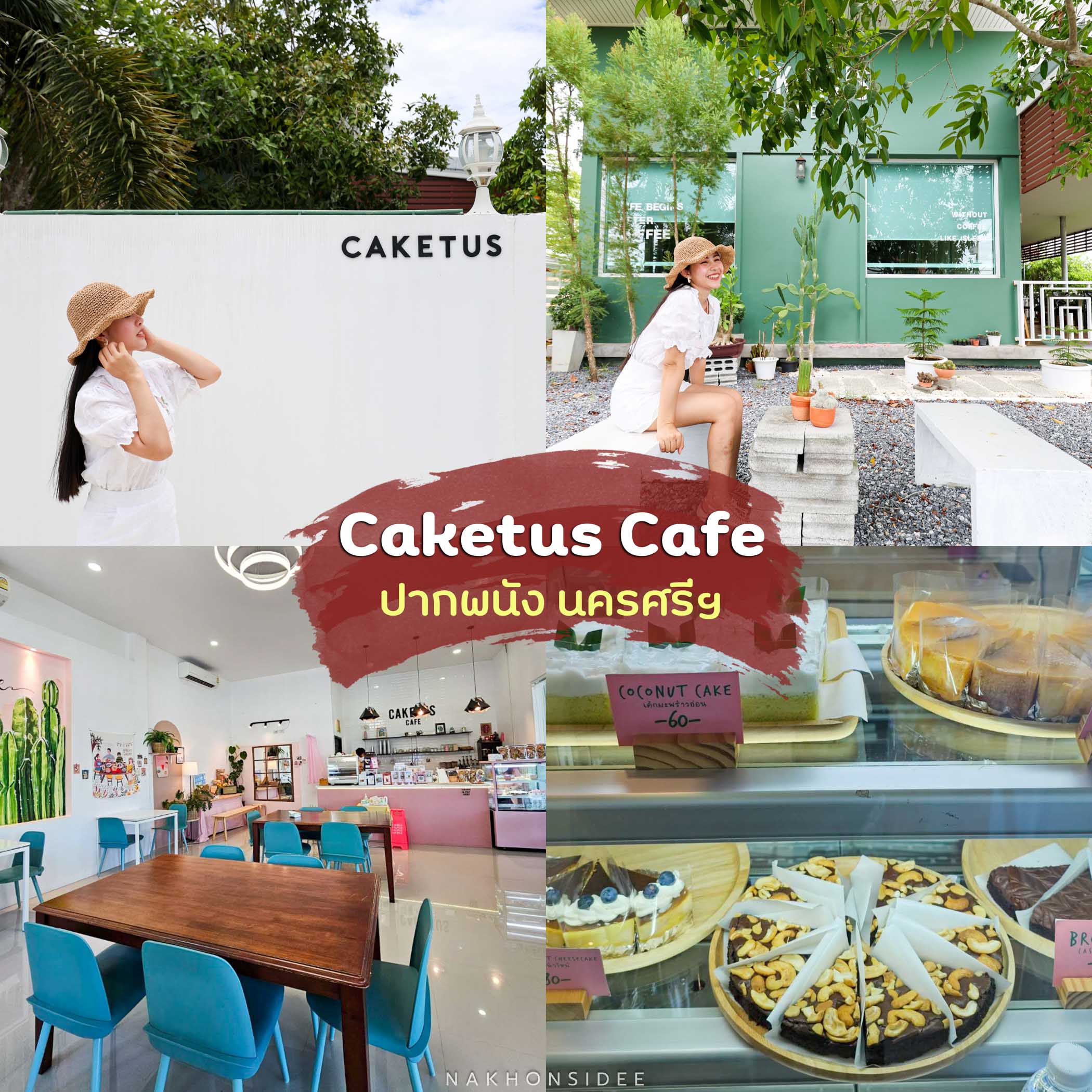 Caketus-Cafe คาเฟ่สไตล์มินิมอลโทนสีขาว-ปกคลุมไปด้วยต้นไม้สีเขียว-ร้านนี้บอกเลยว่าต้องมา-ทีเด็ดเลยที่ต้องห้ามพลาด-คือ-เค้ก-และเบเกอรี่-ตามชื่อร้านนี่เนอะ-เค้กของที่นี่มีให้เลือกมากมายหลายแบบ-แอดชอบหมดเลย-โดยเฉพาะเค้กมัทฉะ-ช็อกโกแลต-บางช่วงจะมีเค้กผลไม้ตามฤดูกาลด้วยน้าา-เช่นมะยงชิด-นอกจากนั้นยังมีเครื่องดื่มมากมาย-อร่อยเลยแหละต้องมาลองน้าา-ปากพนังชิลมาก
 เที่ยวปากพนัง,เกาะไชย,unseen,ปากพนัง,ที่พัก,ธรรมชาติ,ทะเล