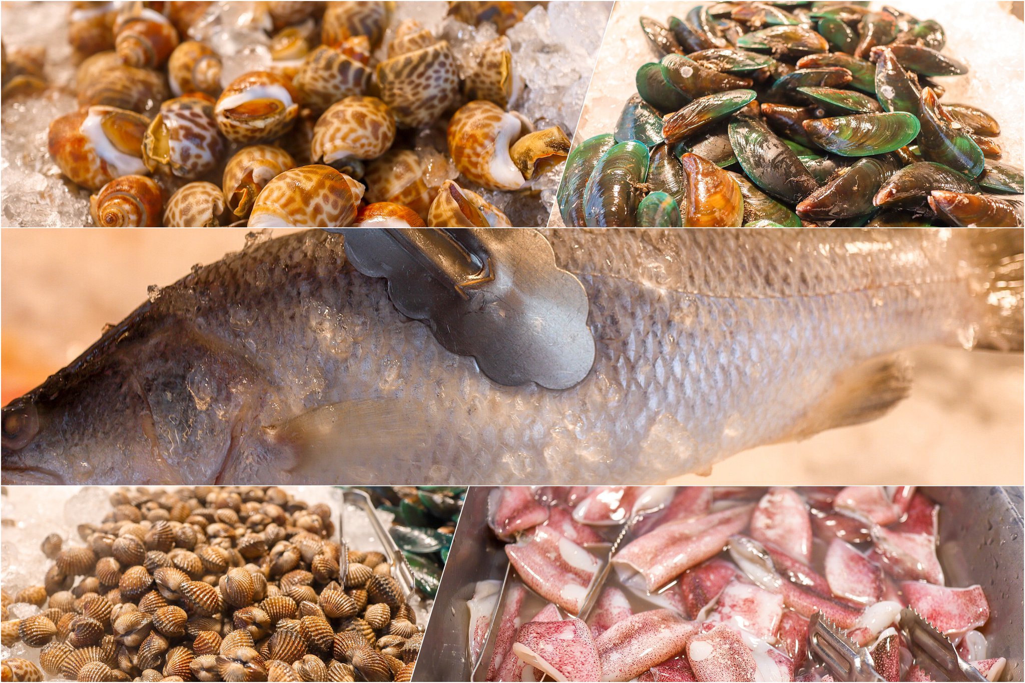  หอย-ปลาหมึก-ปลา บุฟเฟ่ต์,ปิ้งย่าง,นครศรีธรรมราช,ของกิน,อำเภอเมือง