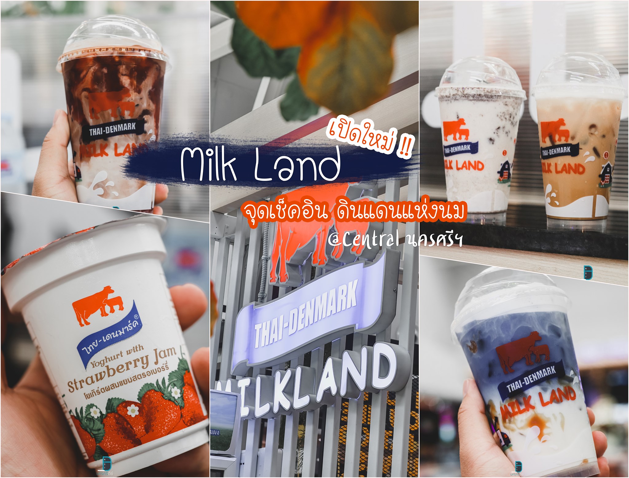  19.-Milk-Land-ร้านนมไทยเดนมาร์กเปิดใหม่-สายนมต้องห้ามพลาด---
 สถานที่ท่องเที่ยว,นครศรีธรรมราช,ที่พัก,จุดเช็คอิน,ของกิน,ร้านอาหาร,โรงแรม,