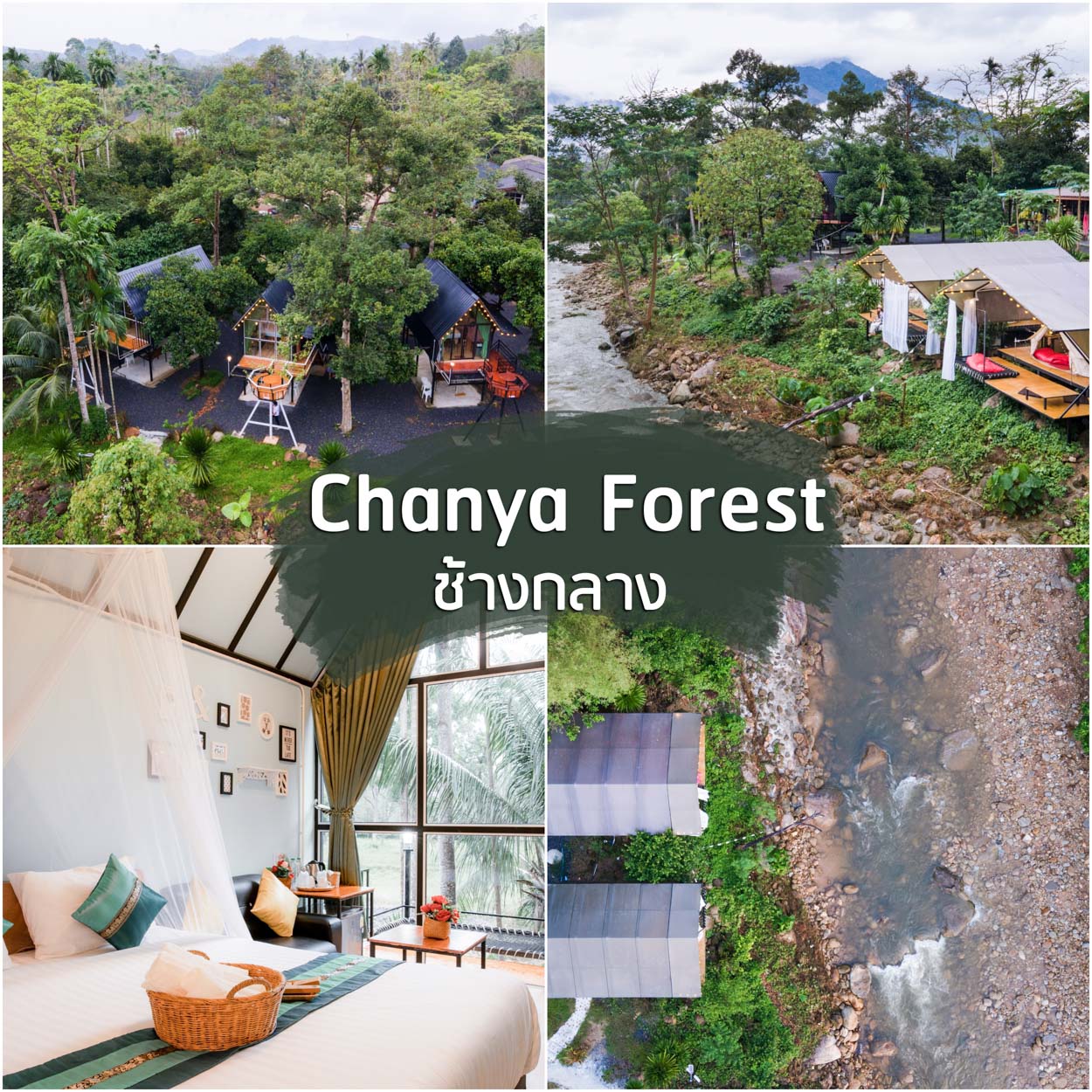 Chanya-Forest -ที่พักสวยๆ-แคมป์ปิ้งริมลำธาร-หมูกะทะกลางหุบเขา

 ที่เที่ยวนครศรี,จุดเช็คอินนครศรี,ที่พักนครศรี,แคมป์ปิ้งนครศรี