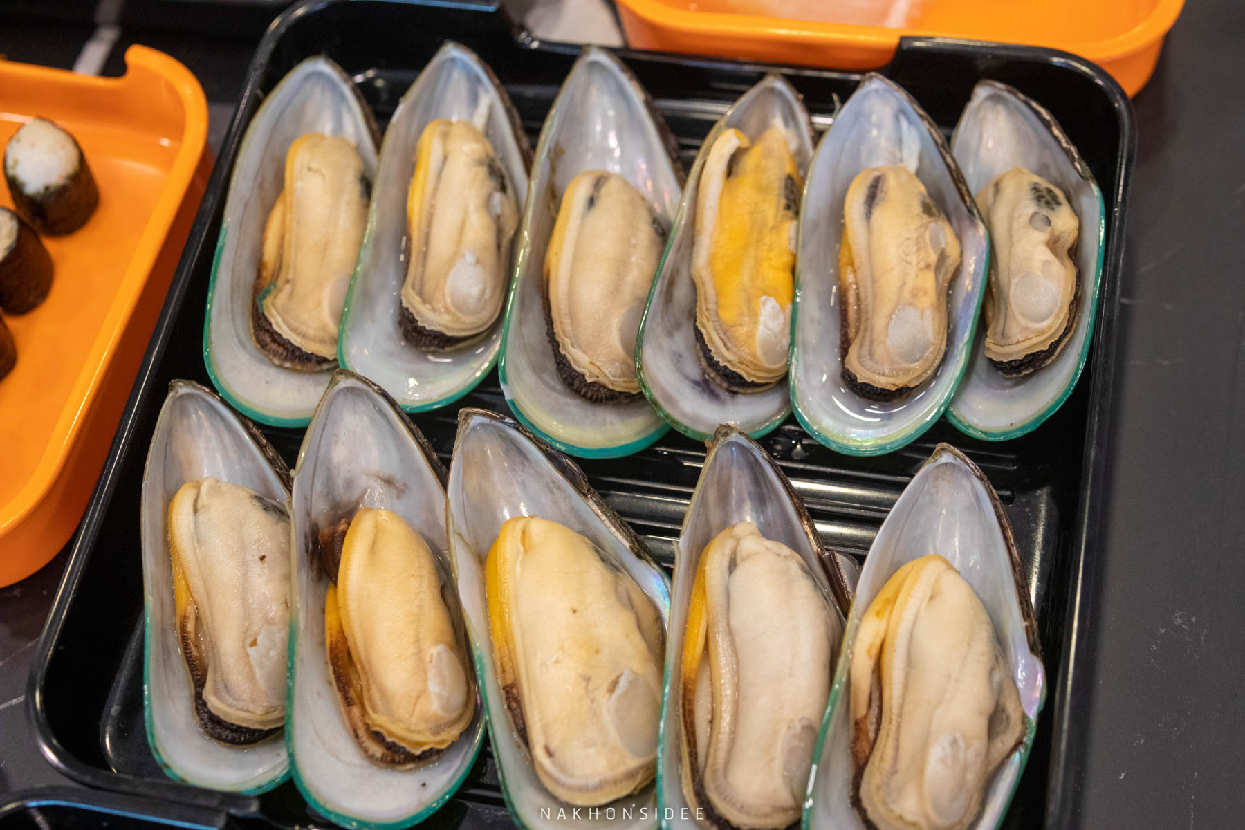 หอยแมลงภู่นิวซีแลนด์  ชาบู,ปิ้งย่าง,อาหารญี่ปุ่น,อู๊ดเป็นต่อพรีเมี่ยม