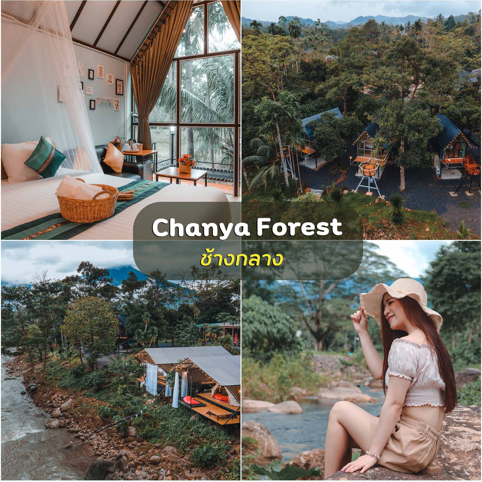 Chanya-Forest-Resort -อีกหนึ่งที่พักวิวหลักล้านริมลำธารกลางหุบเขาช้างกลาง-สวยแน่นอนแอดคอนเฟิร์มฮะ-
 ที่เที่ยวธรรมชาตินครศรีธรรมราช,นครศรี,จุดเช็คอิน,ที่พัก